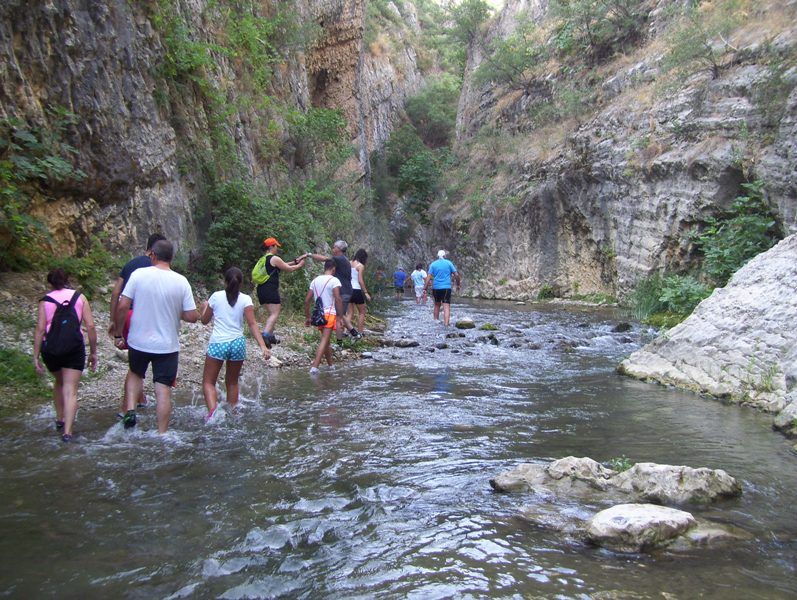 Restauración y protección para Los Cañones