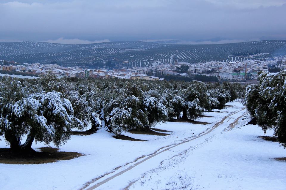 CRÓNICA DEL DÍA: JAÉN NO LES QUITA EL SUEÑO…