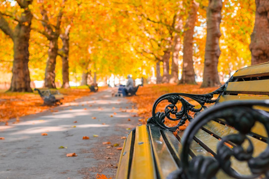 UN OTOÑO BRILLANTE