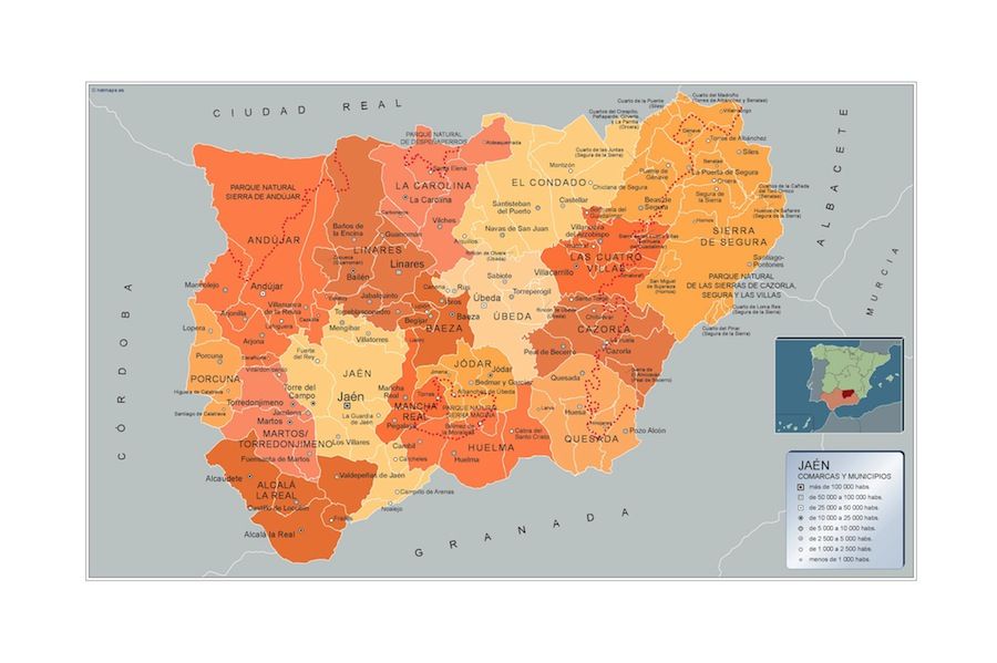 ¿QUÉ VA A PASAR EL DOMINGO EN JAÉN? LA INCÓGNITA ES VOX