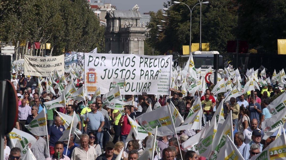 CON UÑAS Y DIENTES EN LA DEFENSA DE NUESTRO ACEITE