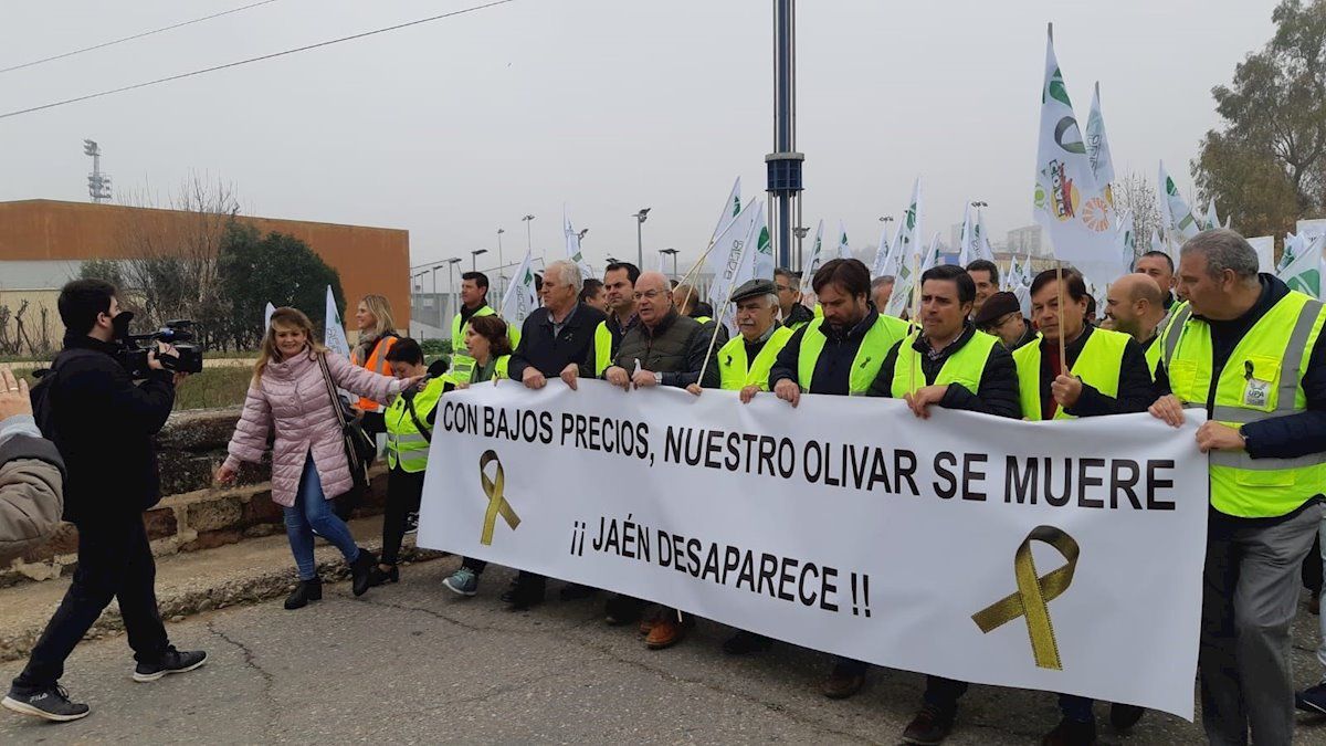 LA «GUERRA DEL OLIVAR»: ¿CONTRA QUIÉN HA SIDO LA PROTESTA?