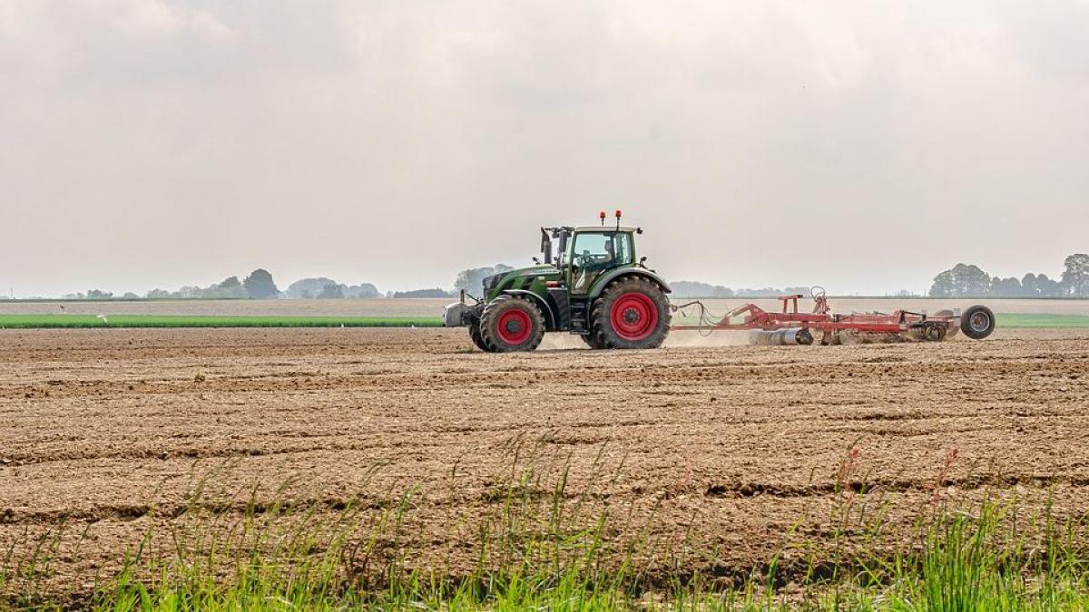 EL SECTOR AGRÍCOLA ESPAÑOL Y EL SMI