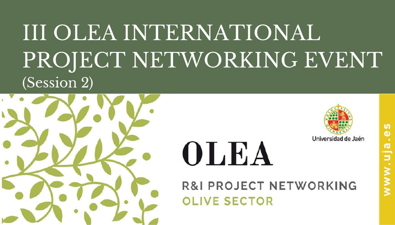 Más de 225 especialistas del sector oleícola de 36 países participan en la jornada de clausura del III Olea International Project Networking Event organizado por la UJA