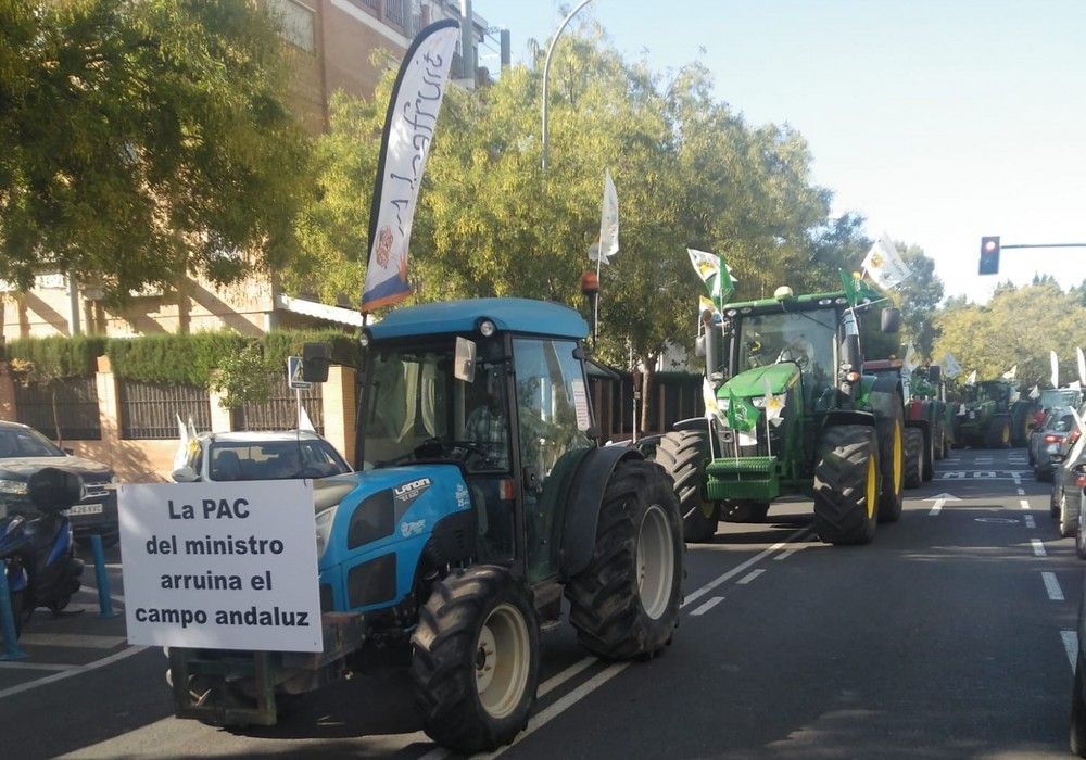 Crónica del día: El campo andaluz vuelve a la calle: por la rentabilidad y contra la PAC