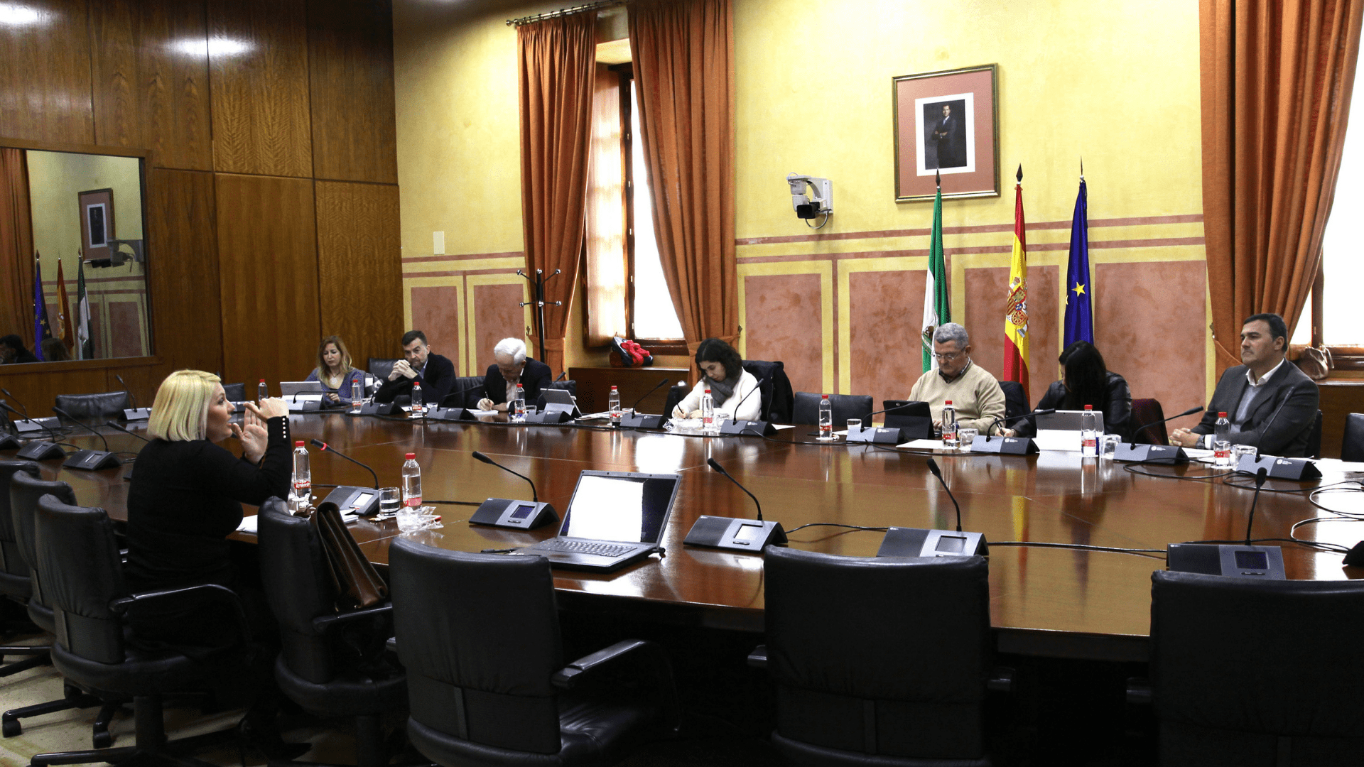 Grupo de Trabajo relativo a la financiación autonómica del Parlamento de Andalucía (y IV)