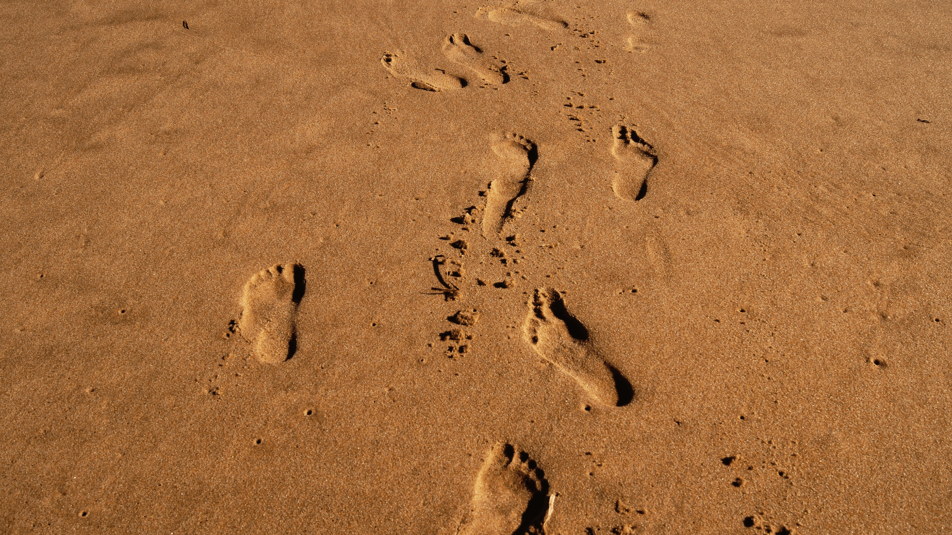 “… Caminante, son tus huellas el camino y nada más; caminante, no hay camino, se hace camino al andar.