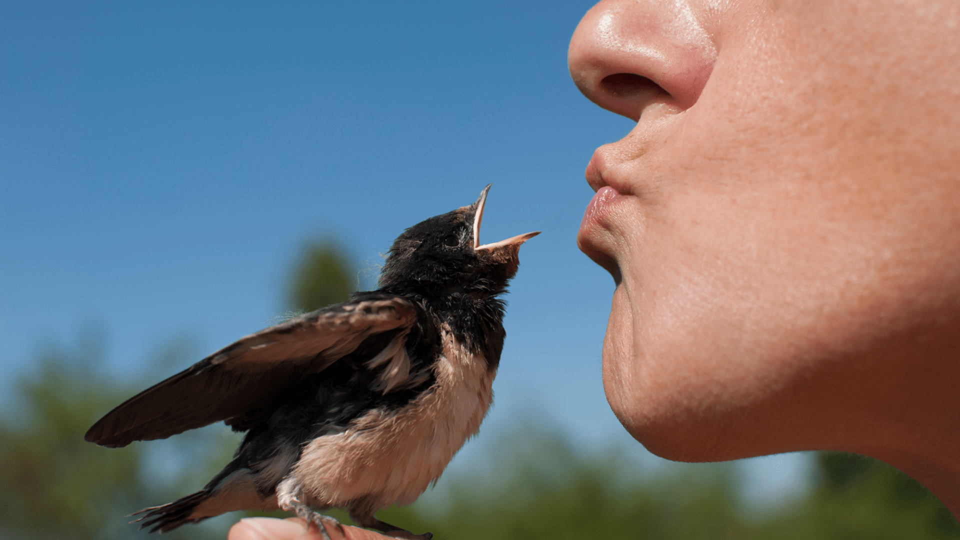 “El amor se ha de poner más en las obras que en las palabras”