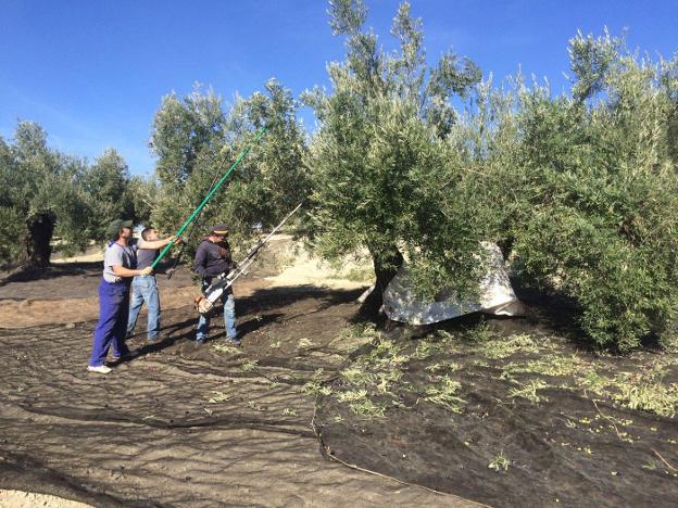 La situación de Jaén: una noticia buena…y otra mala