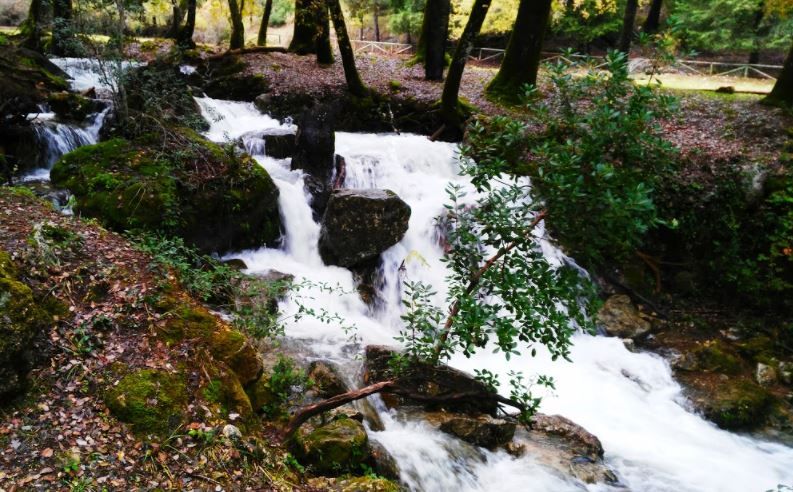 Programa UJA-CEP: un análisis en profundidad sobre el agua y la sugerencia de crear una Cátedra