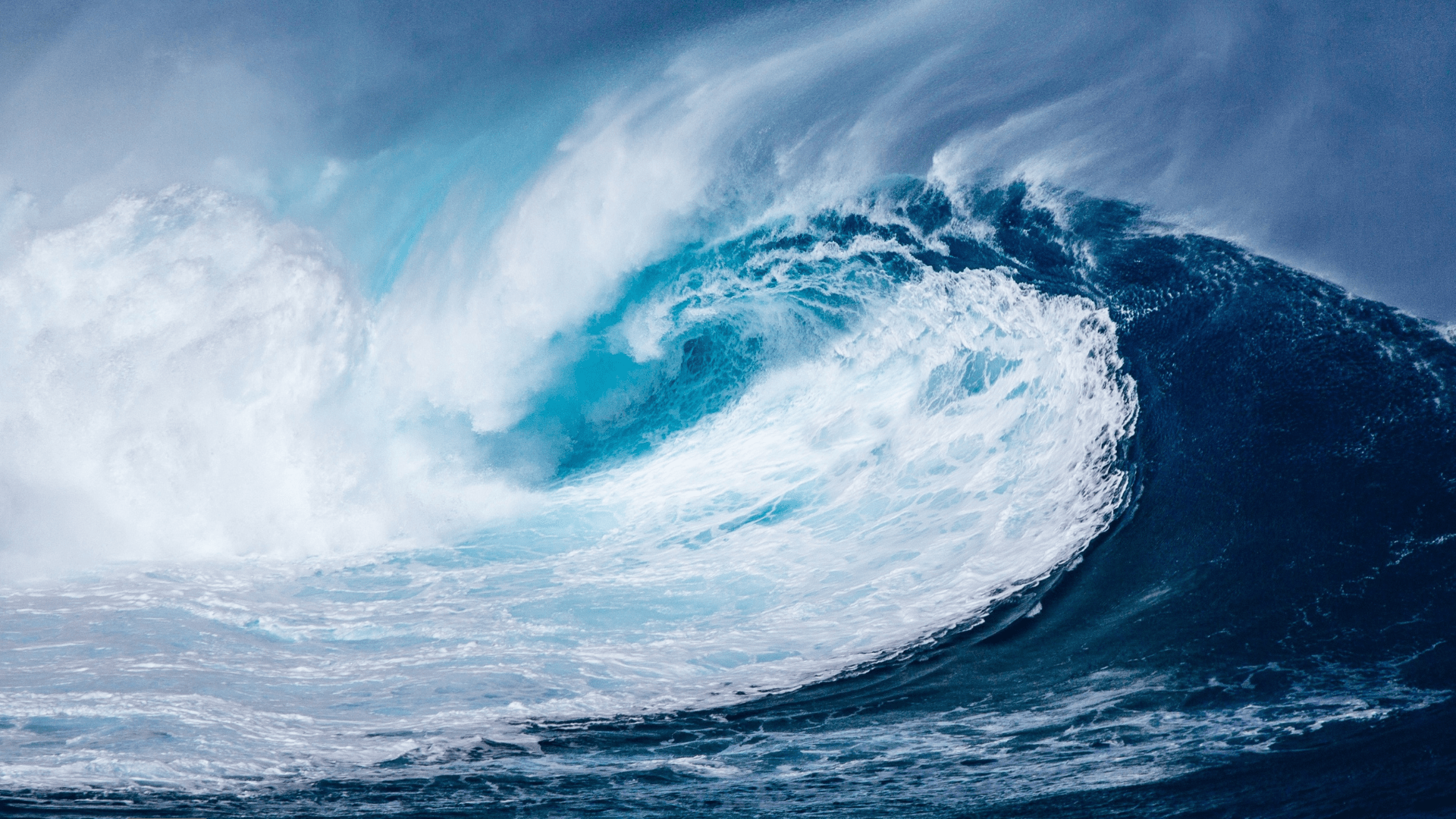 “Dame Señor la perseverancia de las olas del mar, que hacen de cada retroceso un punto de partida para un nuevo avance”