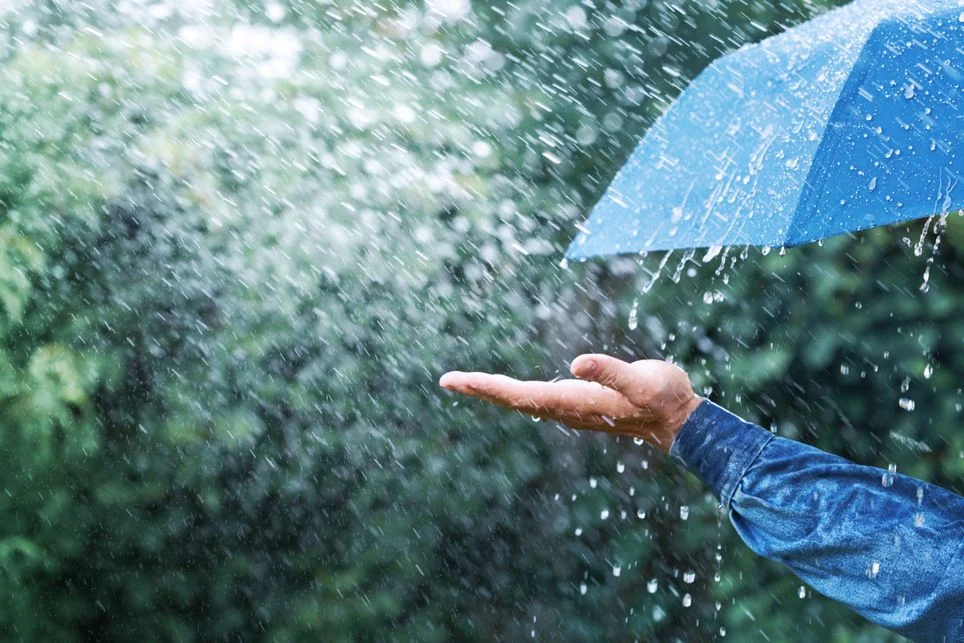 «Lo mejor que uno puede hacer cuando está lloviendo es dejar que llueva»