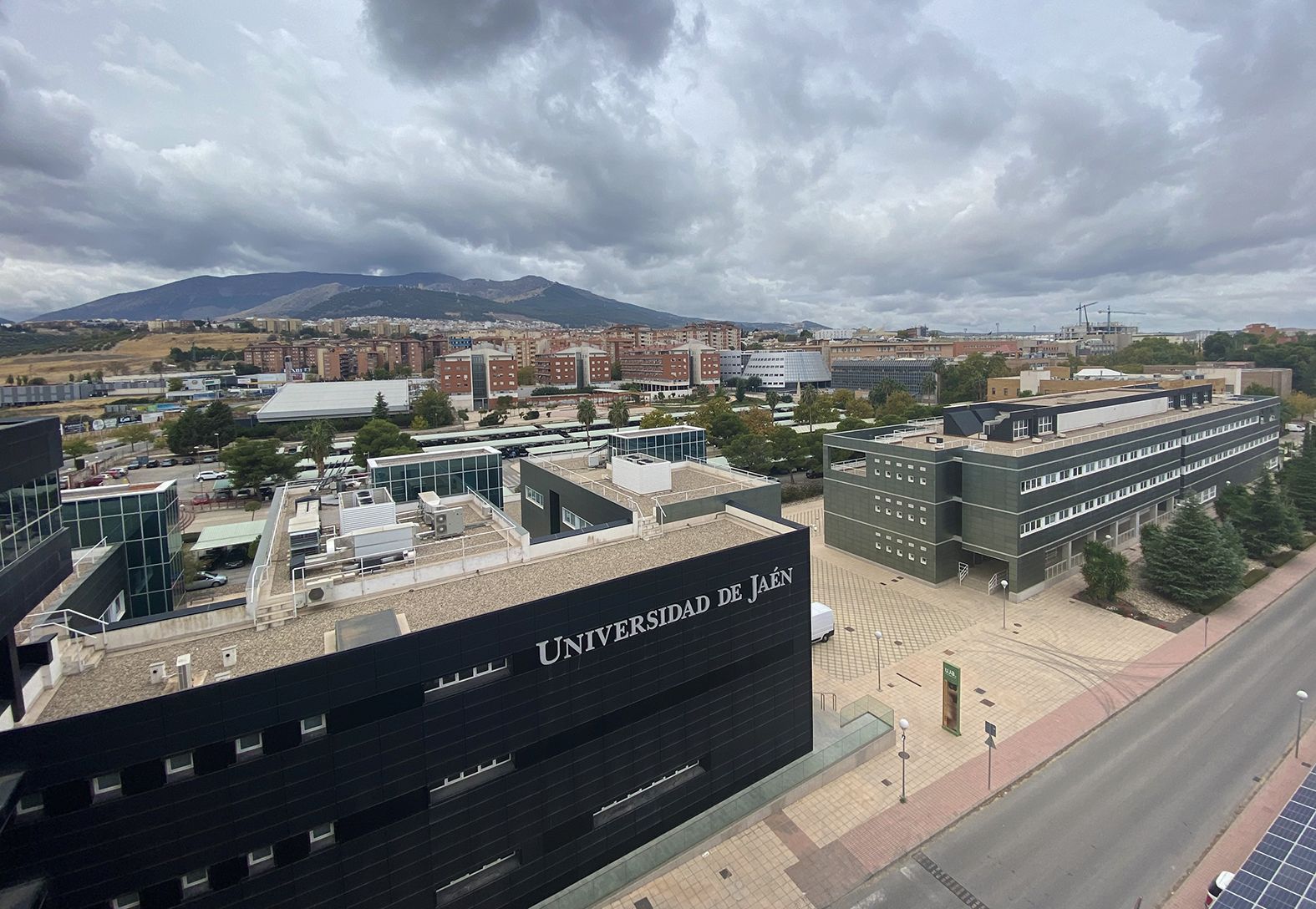Algo tendrá la UJA cuando la bendicen, pena de telediario…y el dichoso estribillo de los políticos