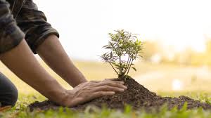 «Donde haya un árbol que plantar, plántalo tú…Sé tú el que aparta la piedra del camino»