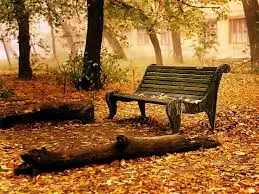 “No temas al otoño, si ha venido. Aunque caiga la flor, queda la rama”