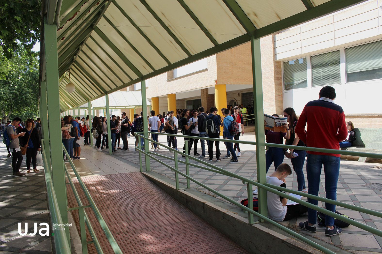 Los formamos, pero tienen que irse…La fuga de talentos