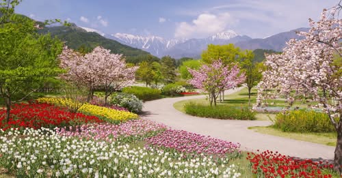 “Podrán cortar todas las flores, pero no podrán detener la primavera”
