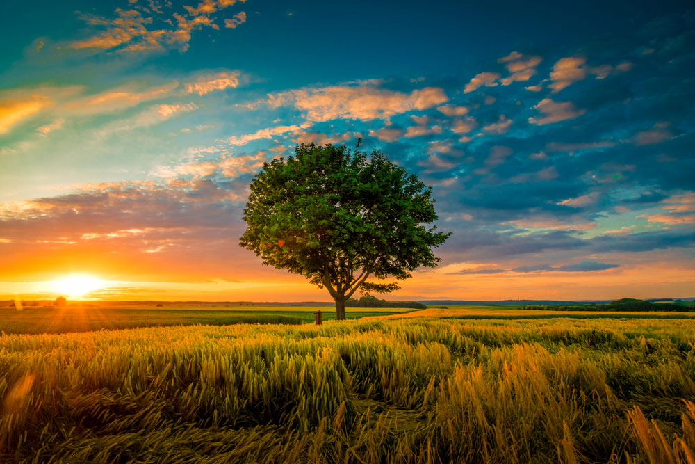 “Cuando uno está verdaderamente triste, son agradables las puestas de sol”