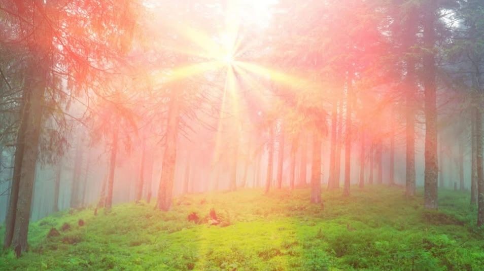 ¡Felices los que en medio de la oscuridad de una noche, creyeron en el resplandor de una luz!