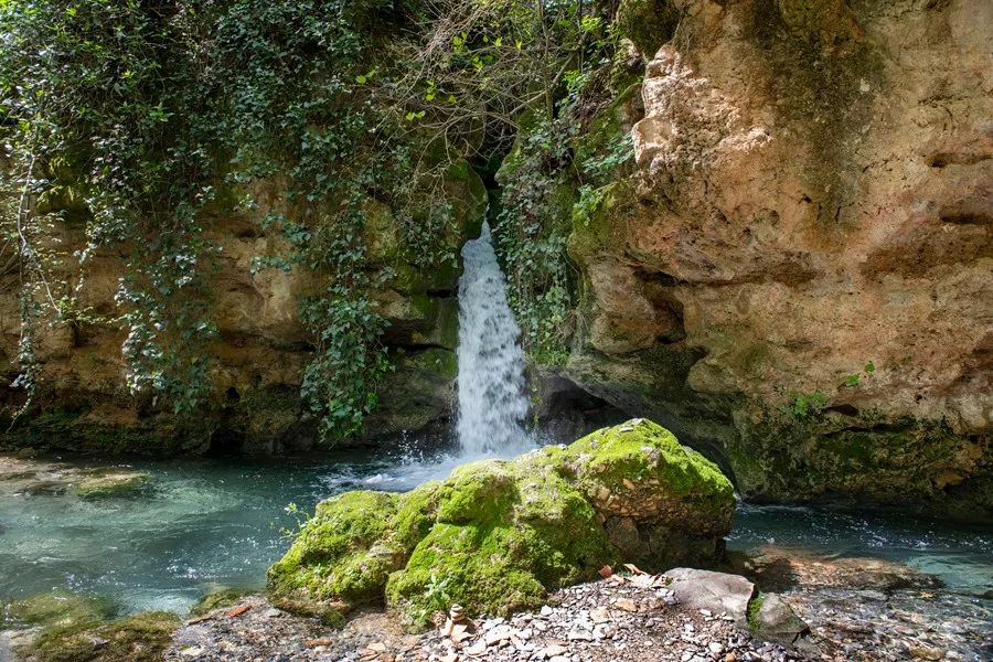 A la forma de Paredes: Desencanto