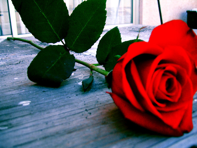 A la forma de Paredes: Duobus textus. Otra vida