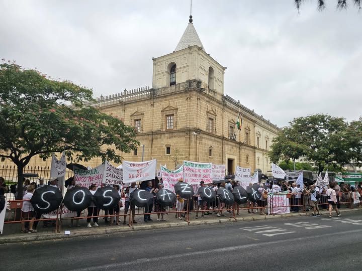 SOS por la sanidad, con muchos frentes abiertos…y por el comercio del centro de Jaén