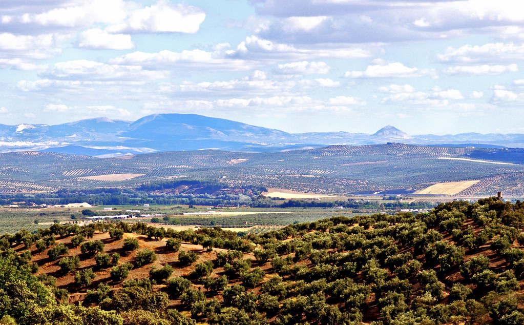 El magnífico escaparate promocional de Tierra Adentro