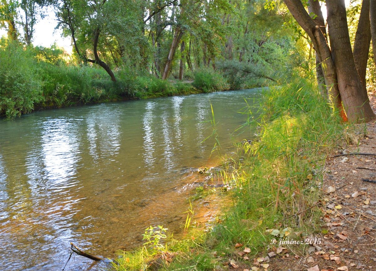 “El tiempo es el río que arrastra hasta el olvido las hojas de nuestros pensamientos”