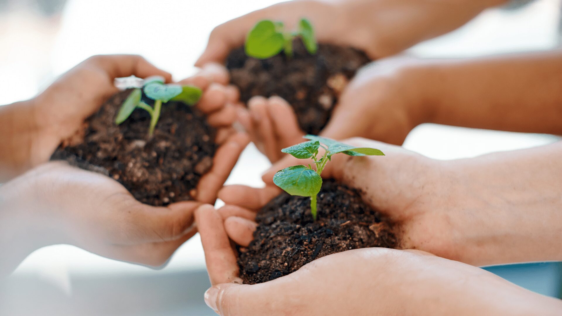“Hoy es siempre todavía, toda la vida es ahora»