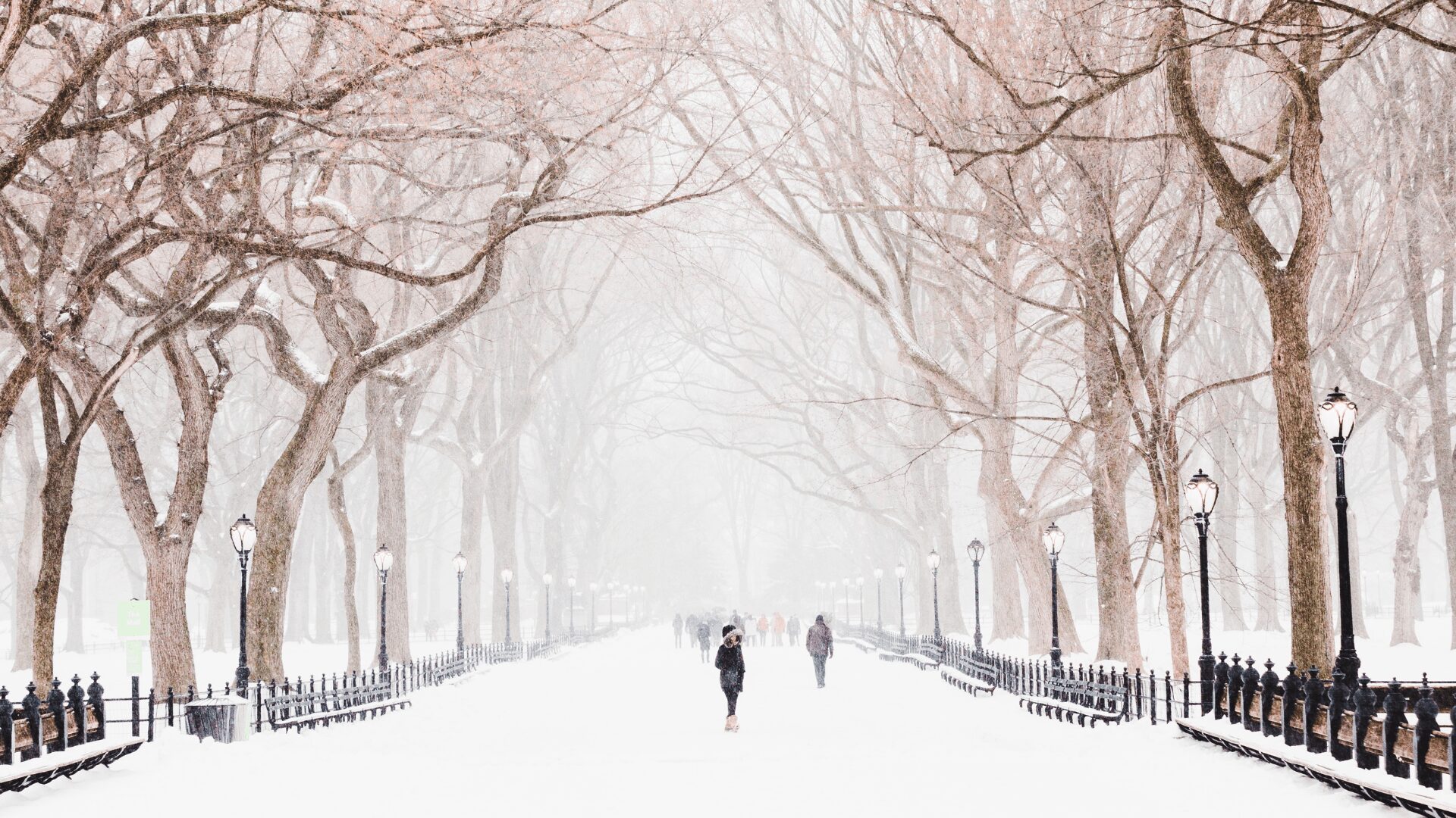 “Lo sientes, ese punzante perfume de frío en el aire, el gris en los ojos y esos largos ocasos. Es el invierno que llega”