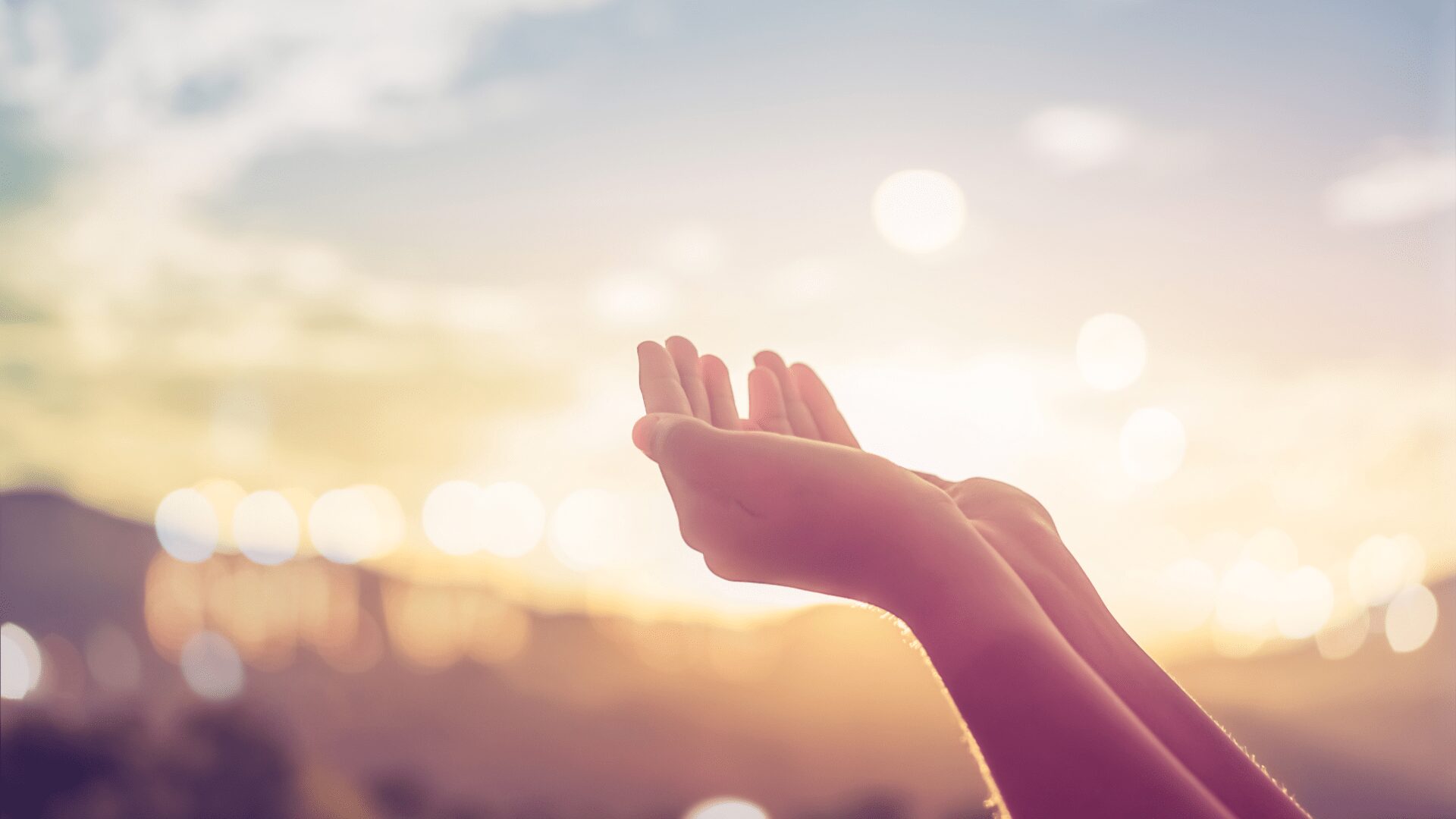 “Donde hay soberbia, allí habrá ignorancia; mas donde hay humildad, habrá sabiduría”
