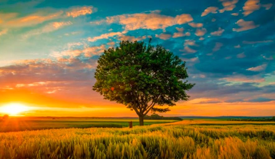 “Cuando uno está verdaderamente triste, son agradables las puestas de sol”