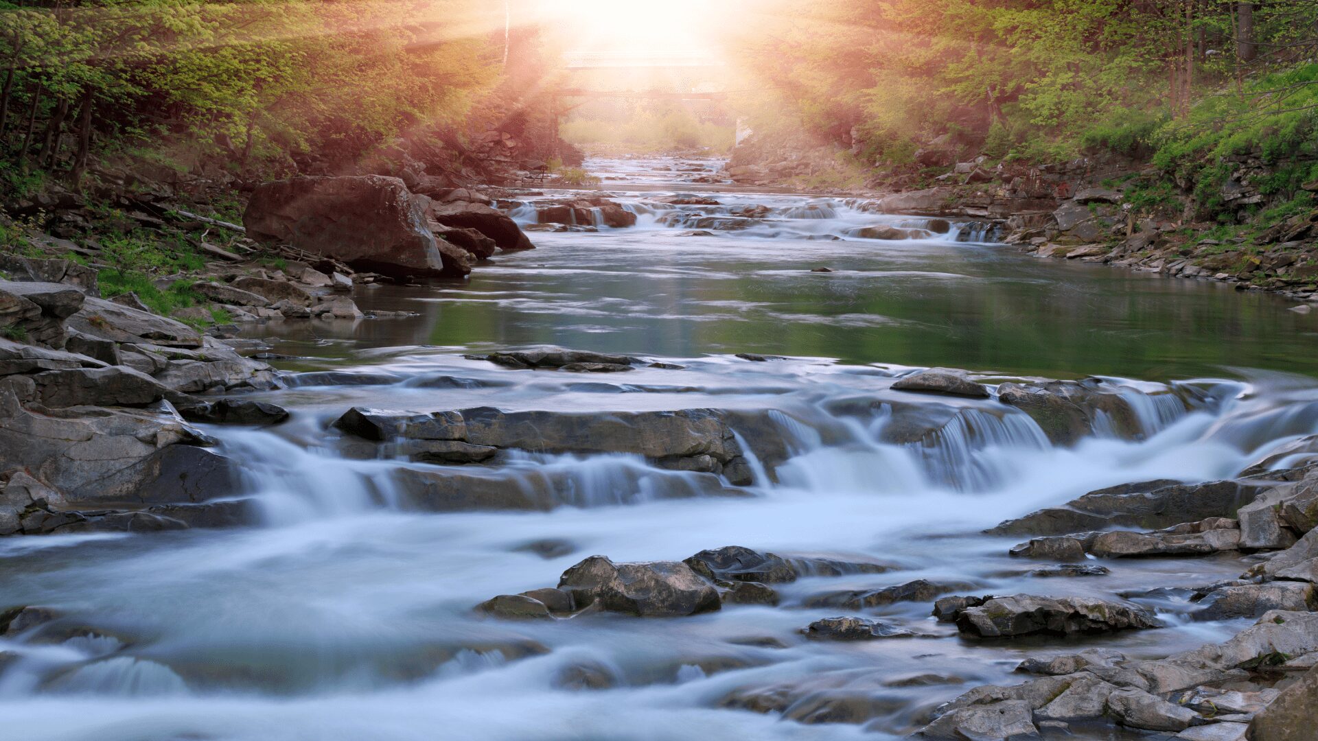 «Nuestras vidas son los ríos, que van a dar a la mar»