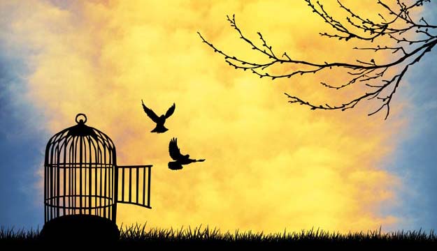  “No al placer. No al poder. No a la gloria. La libertad, únicamente la libertad”